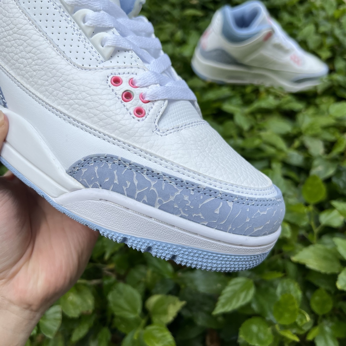 Nike Jordan shoe